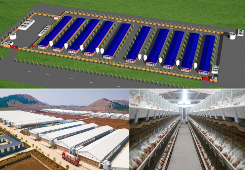 Fazendas de corte tridimensionais padronizadas