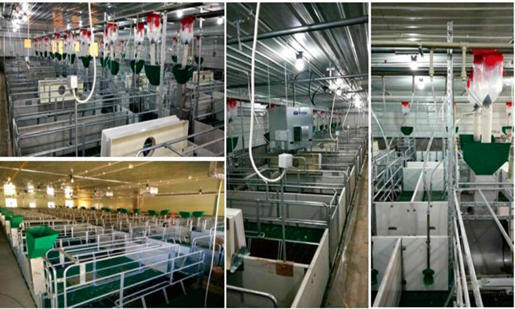 galp&atilde;o de parto