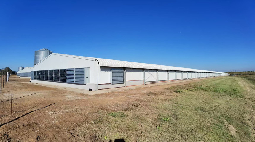 40.000 Birds Broiler Chicken Housing na África do Sul