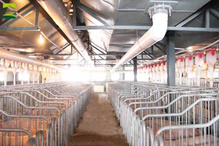 sistema de cria&ccedil;&atilde;o