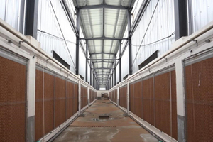 Solução de estrutura metálica pré-fabricada para edifícios de aço agrícolas