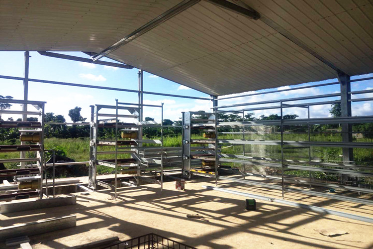 Fazenda de frango em camada