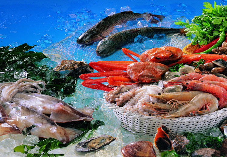 armazenamento a frio para frutos do mar