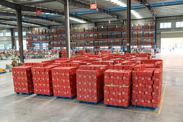 armazenamento de frutas