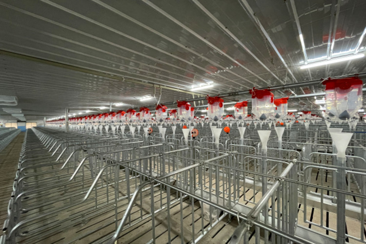 galp&atilde;o de acasalamento