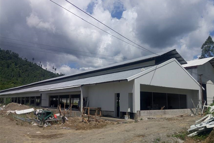 Construção de Aço Agrícola para Galinheiro de Camada com Equipamento de Aves