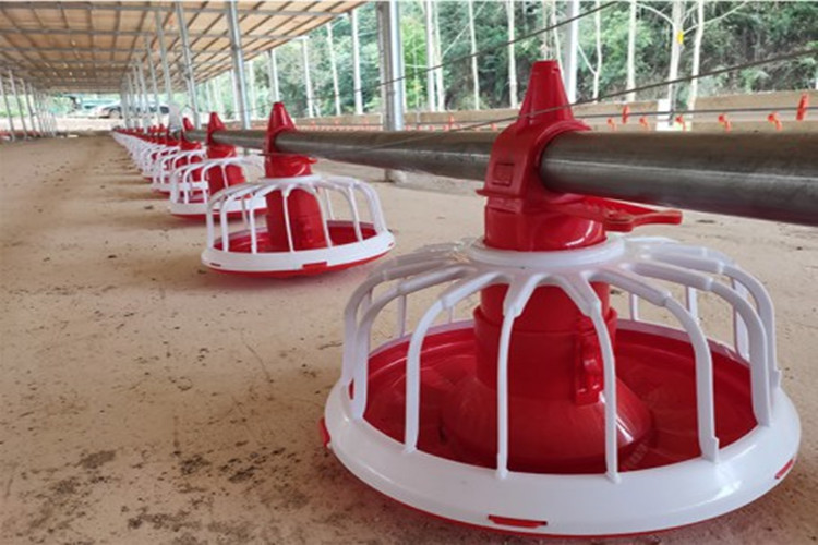 Pan de alimenta&ccedil;&atilde;o