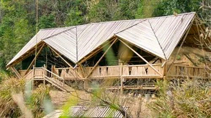 galp&atilde;o de porco