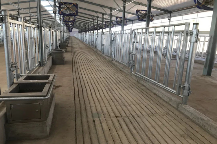 canetas galvanizadas