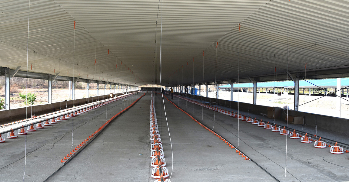 Froiler-House-House2