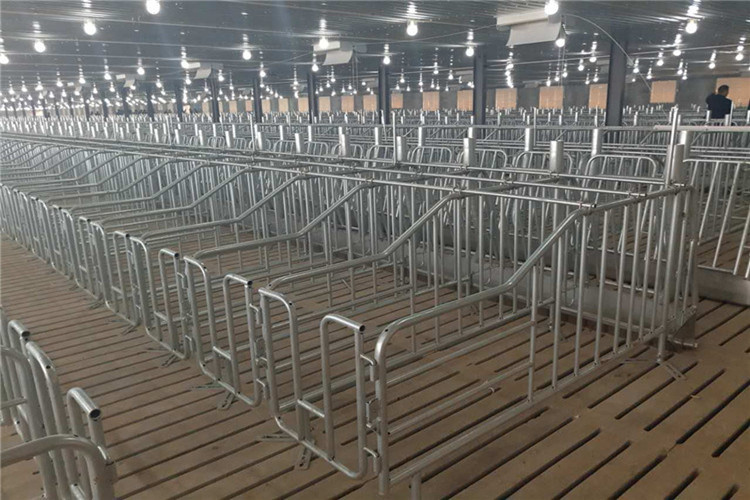 Galvanização Farrowing Crate na agricultura de porcos