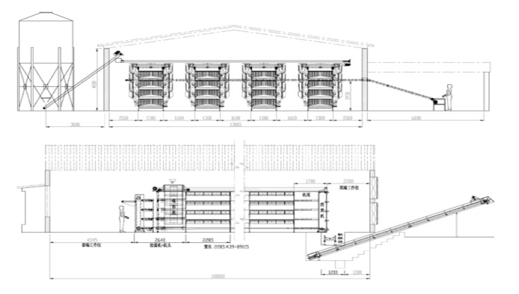 layout de casa de galinha