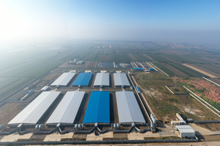 Edifícios de aço agrícolas galvanizados pré -fabricados para fazenda de porcos