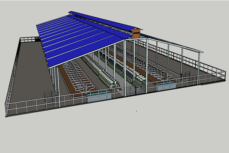 Construção de aço agrícola para solução de fazenda de laticínios