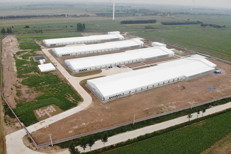 Fazenda de aves pr&eacute; -fabricadas