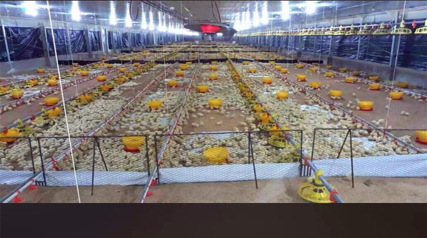 linha de alimenta&ccedil;&atilde;o