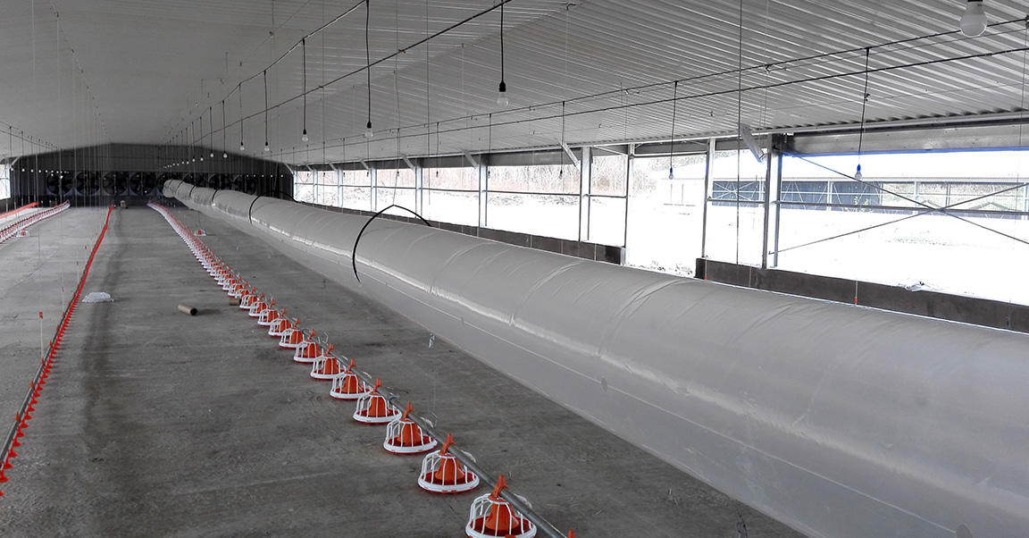 Froiler-House-House1