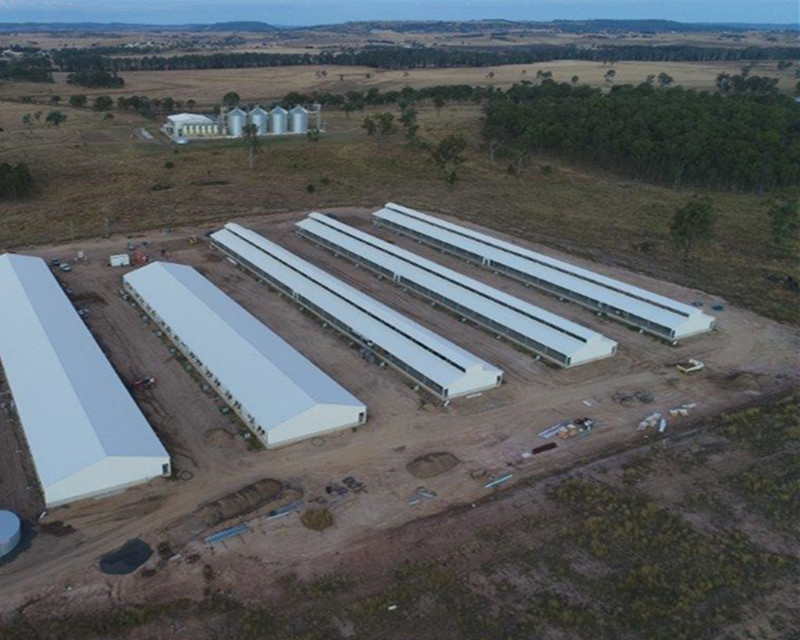 Fazenda de porco de a&ccedil;o