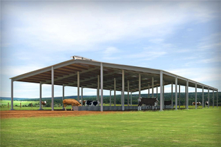 Estrutura de aço galpada para a fazenda de gado com caneta de gado galvanizada