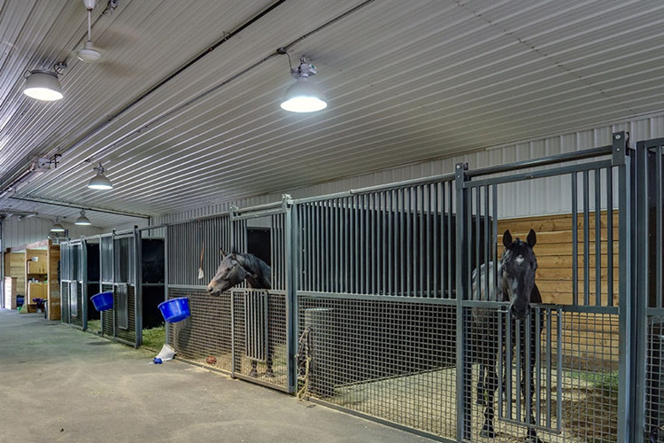 Estruturas de aço pré-fabricadas para construção equestre