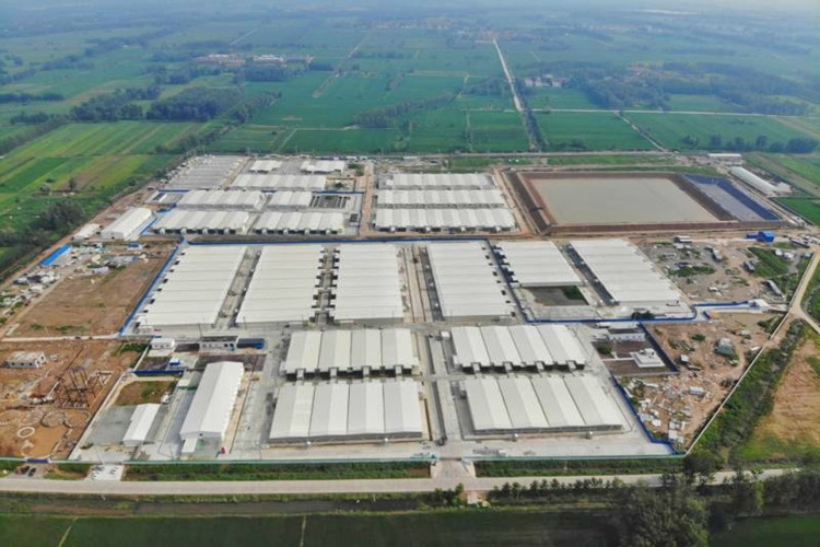 Explora&ccedil;&atilde;o agr&iacute;cola de porco moderna