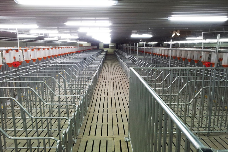 galp&atilde;o de parto