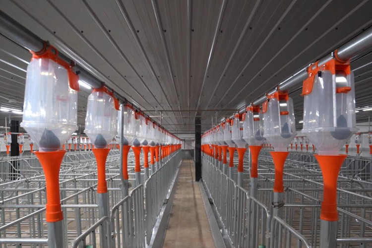 Equipamento de porco