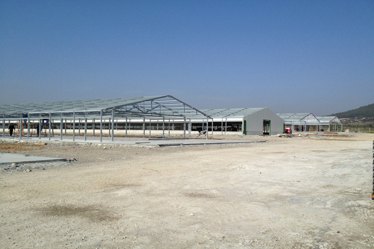 Fazenda de frango com camada de alimentação de gaiola galvanizada padrão