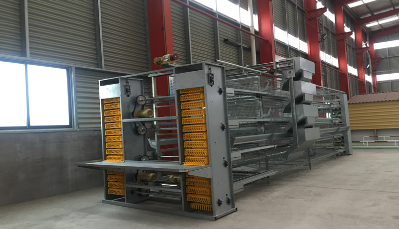 eqiupment alimenta&ccedil;&atilde;o gaiola