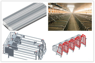 Edifícios de aço agrícolas para criação de porcos com equipamento de criação