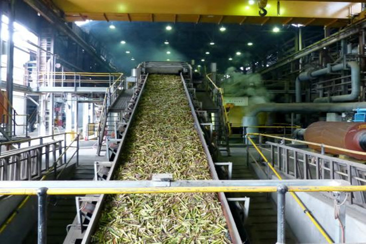 workshop de a&ccedil;&uacute;car.