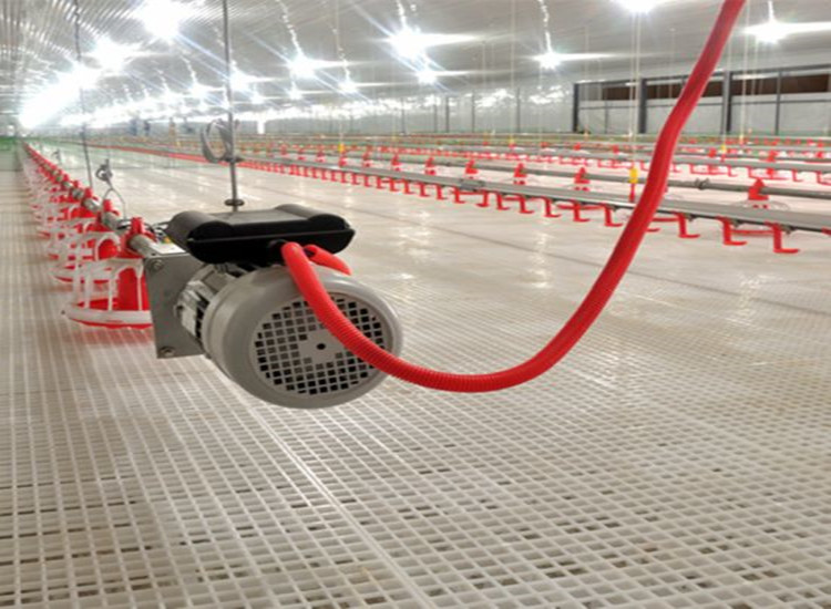 Equipamento autom&aacute;tico de aves dom&eacute;sticas