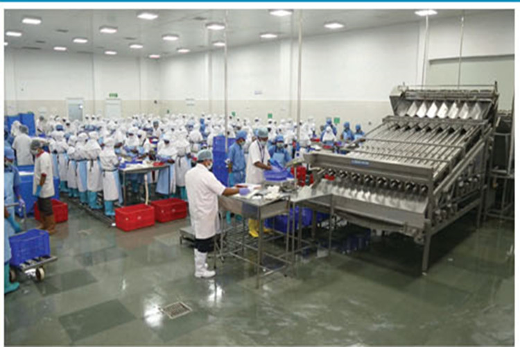 Oficina de processamento de alimentos