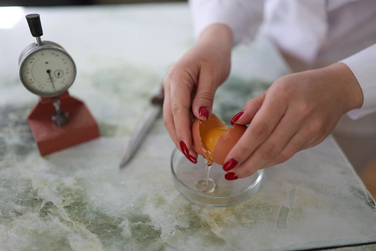 pasteuriza&ccedil;&atilde;o