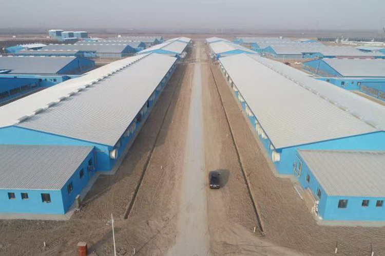 Fazenda de a&ccedil;o