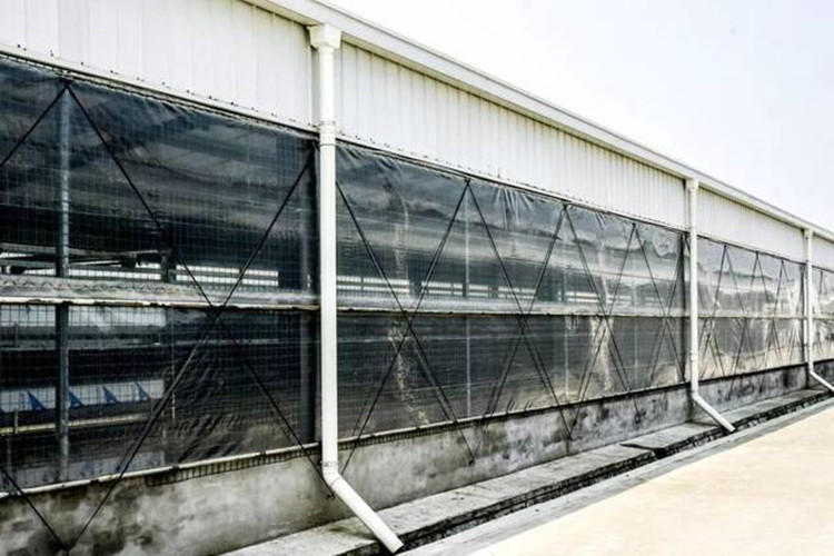 Fazenda de frango Mordern para pássaros de corte de carne com equipamentos de aves