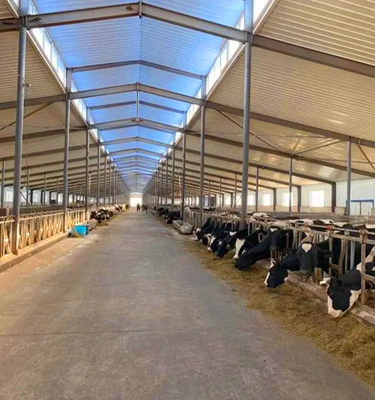 galp&atilde;o de vaca