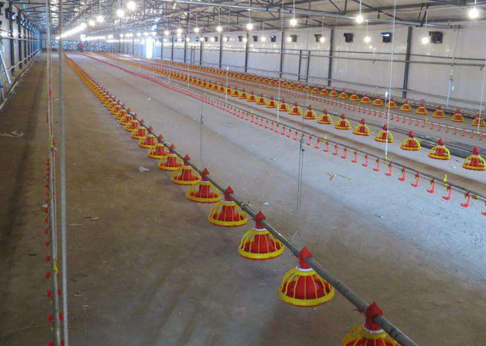 Equipamento de alimenta&ccedil;&atilde;o autom&aacute;tica