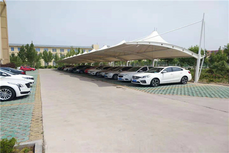 galp&atilde;o de a&ccedil;o