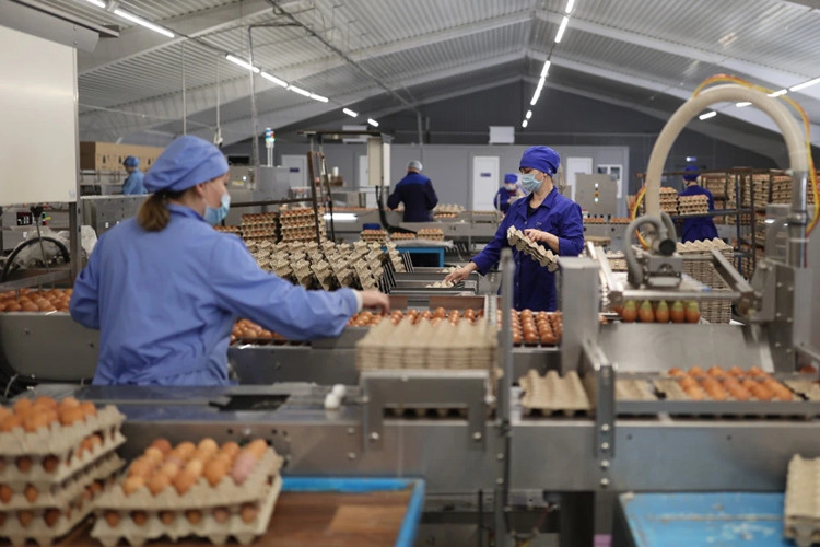 Armazenamento de ovos