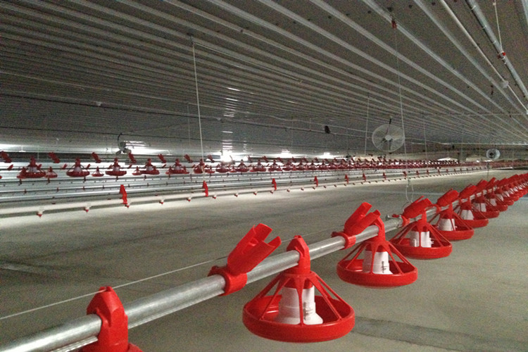 Pan de alimenta&ccedil;&atilde;o