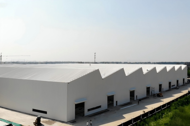 Armazém de Estrutura de Aço Multi-Vão 