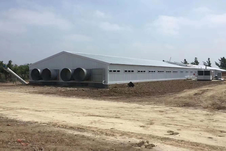 Layout de estrutura de a&ccedil;o para constru&ccedil;&atilde;o de avicultura