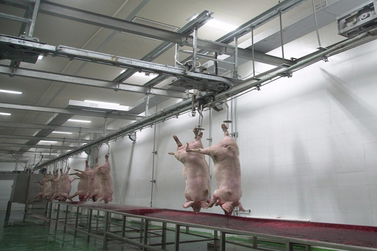 &Aacute;rea de processamento de estrutura de a&ccedil;o do matadouro