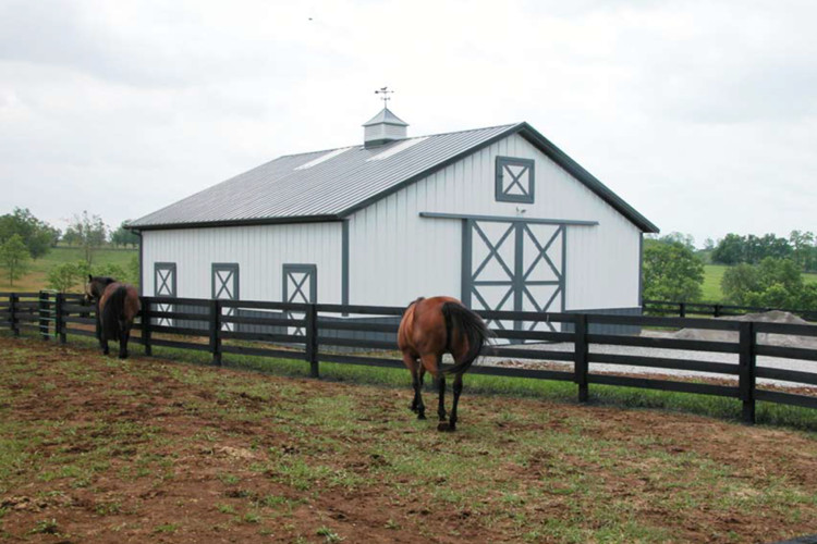 Edif&iacute;cios de A&ccedil;o Agr&iacute;cola